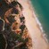 The Pinnacles Loop Walking Track in Eden, Australia with dense forest and a secluded beachfront